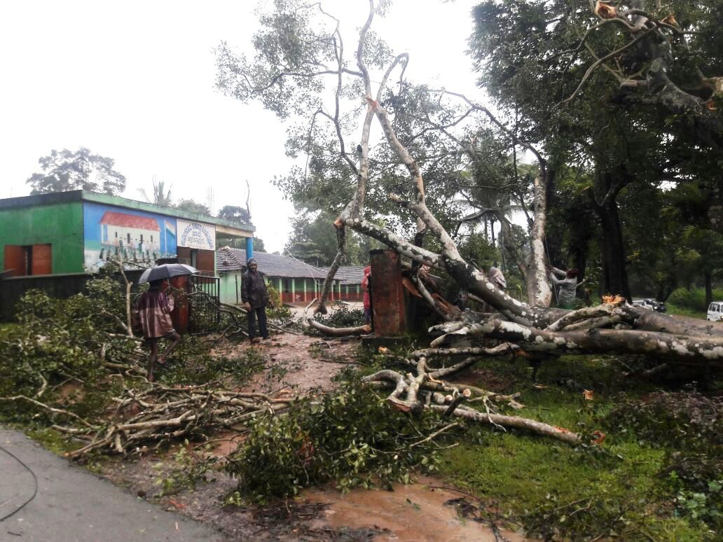 ಚಿಕ್ಕಮಗಳೂರು ಜಿಲ್ಲೆಯಲ್ಲಿ ಗಾಳಿ, ಮಳೆಯ ಆರ್ಭಟ: ಮರ ಬಿದ್ದು ಮಹಿಳೆ ಮೃತ್ಯು